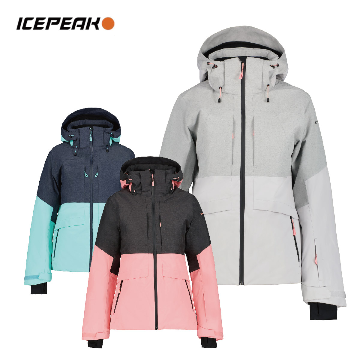Skiwear Retailer - Gear Brand Japanese Top Tanabe Shop Ski Ski Sports - and